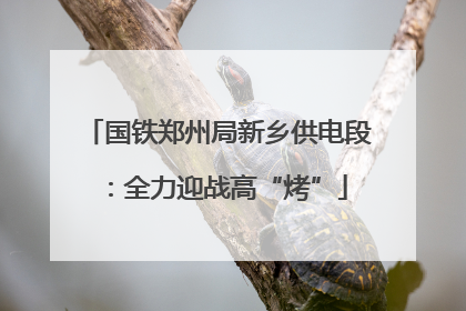 国铁郑州局新乡供电段：全力迎战高“烤”
