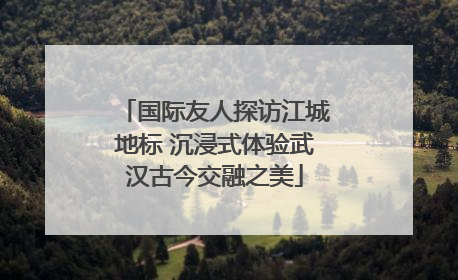 国际友人探访江城地标 沉浸式体验武汉古今交融之美