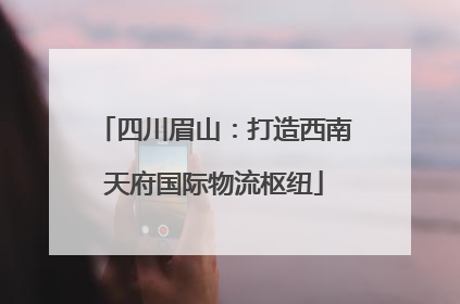 四川眉山：打造西南天府国际物流枢纽