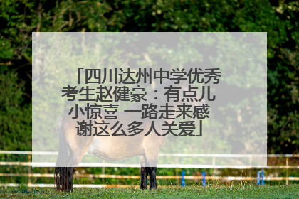 四川达州中学优秀考生赵健豪：有点儿小惊喜 一路走来感谢这么多人关爱