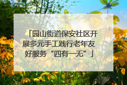 园山街道保安社区开展多元手工践行老年友好服务“四有一无”