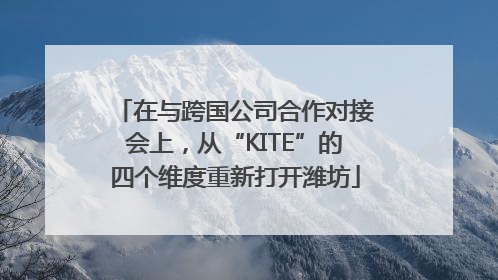 在与跨国公司合作对接会上，从“KITE”的四个维度重新打开潍坊