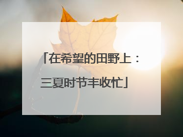 在希望的田野上：三夏时节丰收忙