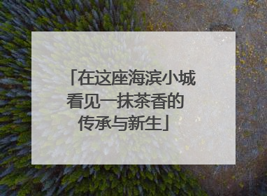 在这座海滨小城 看见一抹茶香的传承与新生