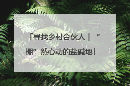 寻找乡村合伙人｜“棚”然心动的盐碱地