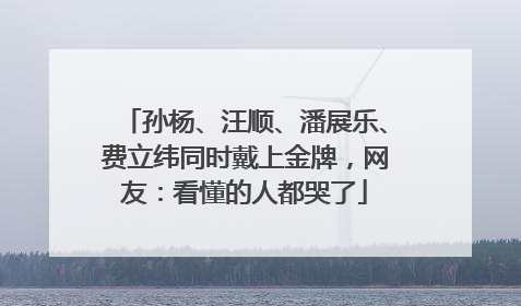 孙杨、汪顺、潘展乐、费立纬同时戴上金牌，网友：看懂的人都哭了
