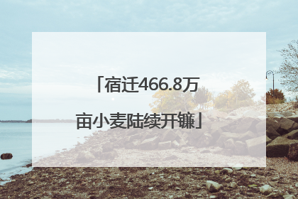 宿迁466.8万亩小麦陆续开镰