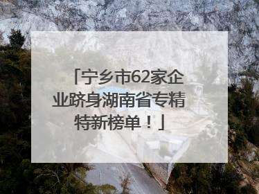 宁乡市62家企业跻身湖南省专精特新榜单！