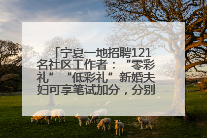 宁夏一地招聘121名社区工作者：“零彩礼”“低彩礼”新婚夫妇可享笔试加分，分别加1分、0.5分