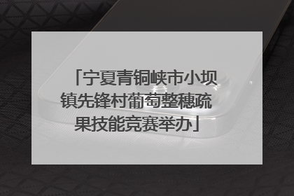 宁夏青铜峡市小坝镇先锋村葡萄整穗疏果技能竞赛举办