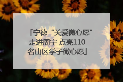 宁德“关爱微心愿”走进周宁 点亮110名山区学子微心愿