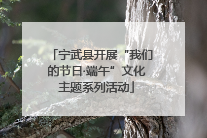 宁武县开展“我们的节日·端午”文化主题系列活动