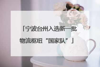 宁波台州入选新一批物流枢纽“国家队”