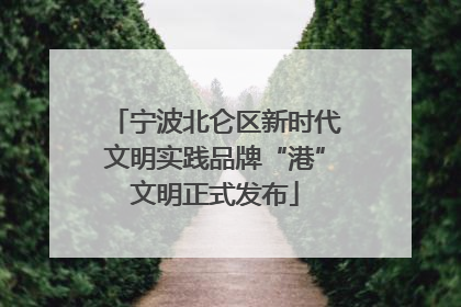 宁波北仑区新时代文明实践品牌“港”文明正式发布