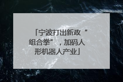 宁波打出新政“组合拳”，加码人形机器人产业