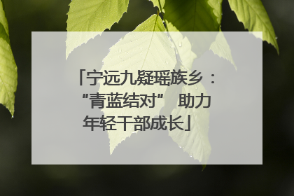 宁远九疑瑶族乡：“青蓝结对” 助力年轻干部成长