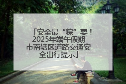 安全最“粽”要！2025年端午假期市南辖区道路交通安全出行提示