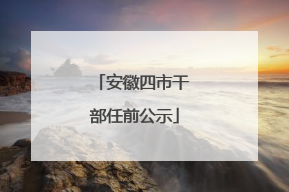 安徽四市干部任前公示
