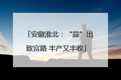 安徽淮北：“蒜”出致富路 丰产又丰收