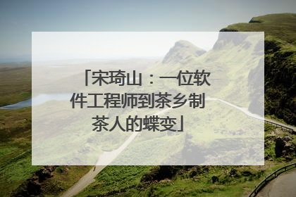 宋琦山：一位软件工程师到茶乡制茶人的蝶变