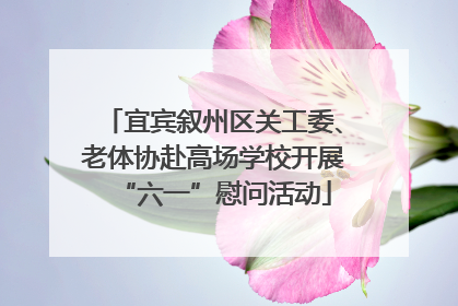宜宾叙州区关工委、老体协赴高场学校开展“六一”慰问活动