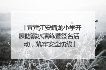宜宾江安蟠龙小学开展防溺水演练暨签名活动，筑牢安全防线