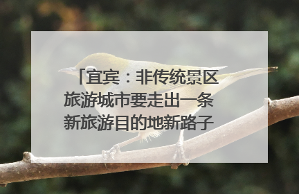 宜宾：非传统景区旅游城市要走出一条新旅游目的地新路子｜话锦绣·说安逸