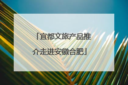 宜都文旅产品推介走进安徽合肥