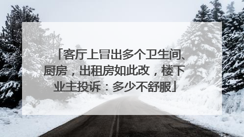 客厅上冒出多个卫生间、厨房，出租房如此改，楼下业主投诉：多少不舒服