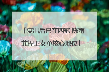 复出后已夺四冠 陈雨菲捍卫女单核心地位