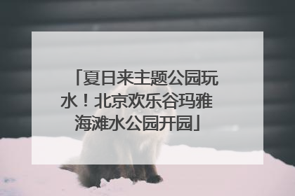 夏日来主题公园玩水！北京欢乐谷玛雅海滩水公园开园