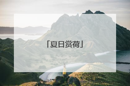 夏日赏荷