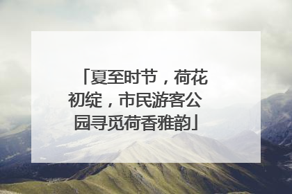 夏至时节，荷花初绽，市民游客公园寻觅荷香雅韵