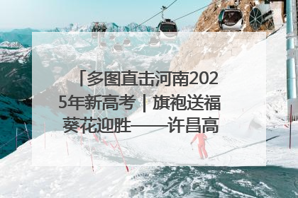 多图直击河南2025年新高考｜旗袍送福 葵花迎胜——许昌高考首日拉开帷幕
