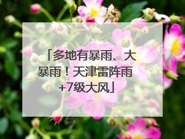 多地有暴雨、大暴雨！天津雷阵雨+7级大风