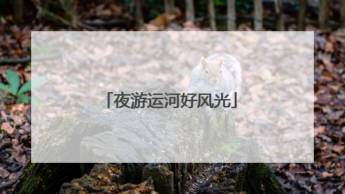 夜游运河好风光