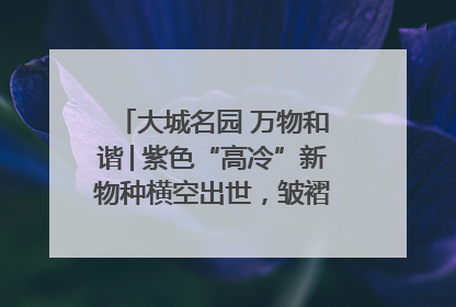 大城名园 万物和谐│紫色“高冷”新物种横空出世，皱褶叶片暗藏进化密码