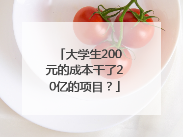 大学生200元的成本干了20亿的项目？