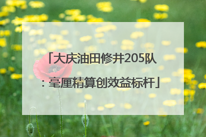大庆油田修井205队：毫厘精算创效益标杆
