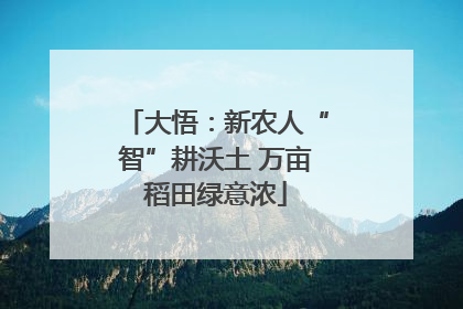 大悟：新农人“智”耕沃土 万亩稻田绿意浓