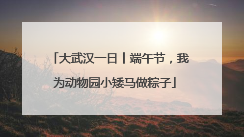 大武汉一日丨端午节，我为动物园小矮马做粽子