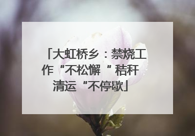 大虹桥乡：禁烧工作“不松懈“ 秸秆清运“不停歇