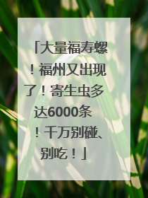 大量福寿螺！福州又出现了！寄生虫多达6000条！千万别碰、别吃！