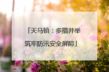 天马镇：多措并举筑牢防汛安全屏障