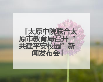 太原中院联合太原市教育局召开“共建平安校园”新闻发布会