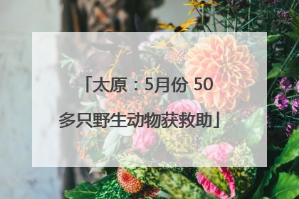 太原：5月份 50多只野生动物获救助