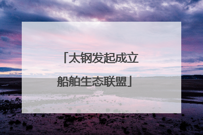 太钢发起成立船舶生态联盟