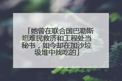 她曾在联合国巴勒斯坦难民救济和工程处当秘书，如今却在加沙垃圾堆中找吃的