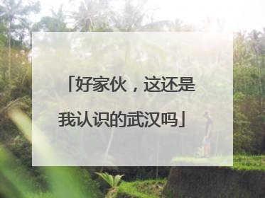好家伙，这还是我认识的武汉吗