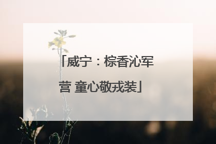 威宁：棕香沁军营 童心敬戎装